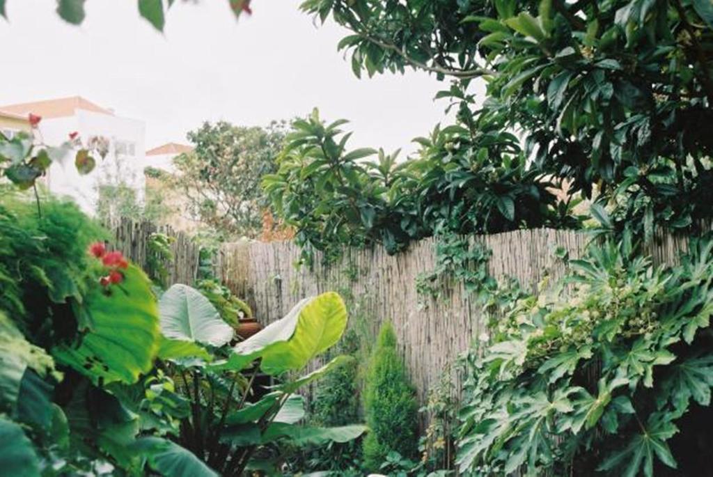 Apartment With Private Garden OOporto Rum bild